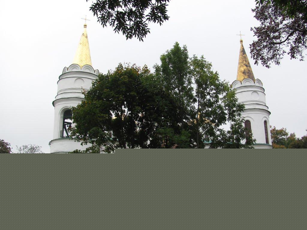 Першотравенськ з panoramio.com - Першотравенск