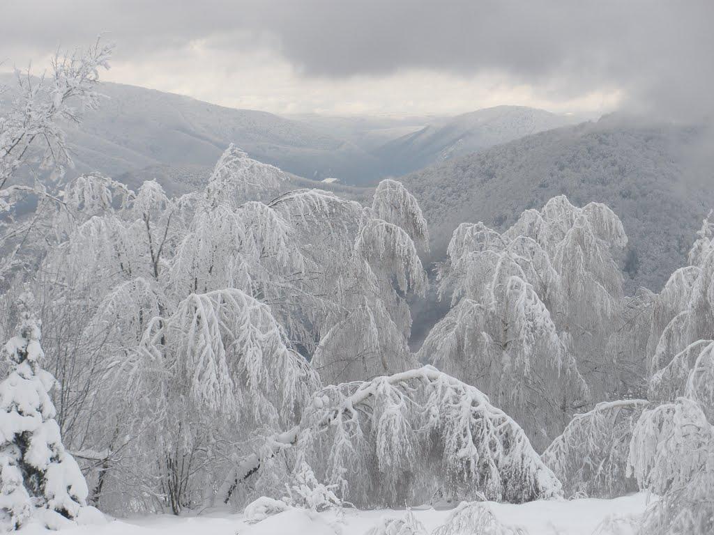 Вишка з panoramio.com - Вышка