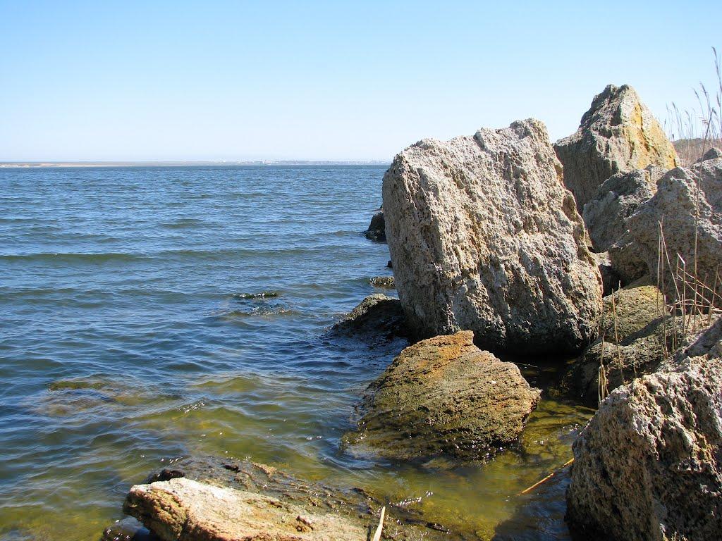 Велика Балка з panoramio.com - Велика Балка
