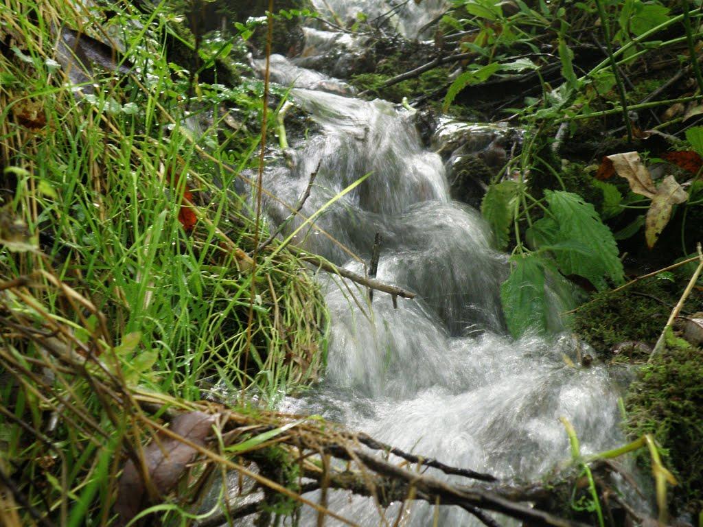 Миролюбівка з panoramio.com - Миролюбівка