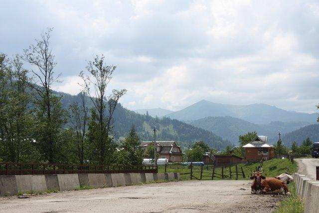 Ільці з panoramio.com - Ільці