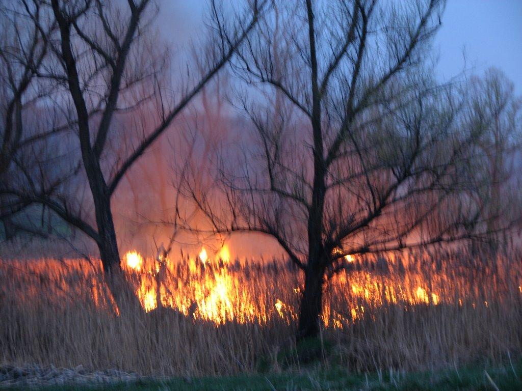 Яблучне з panoramio.com - Jabluchne