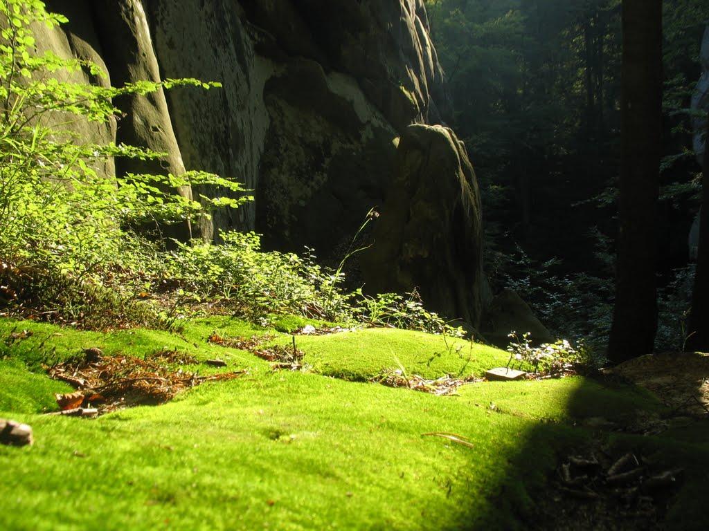 Поляниця з panoramio.com - Поляниця