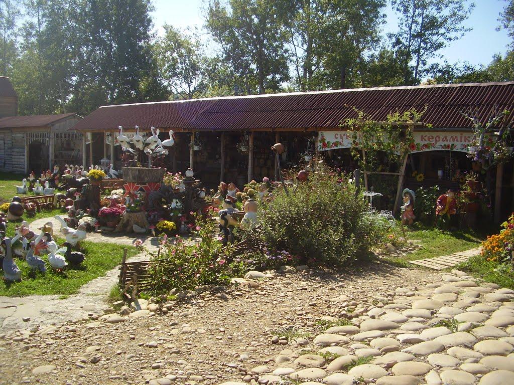 Коломия з panoramio.com - Коломыя