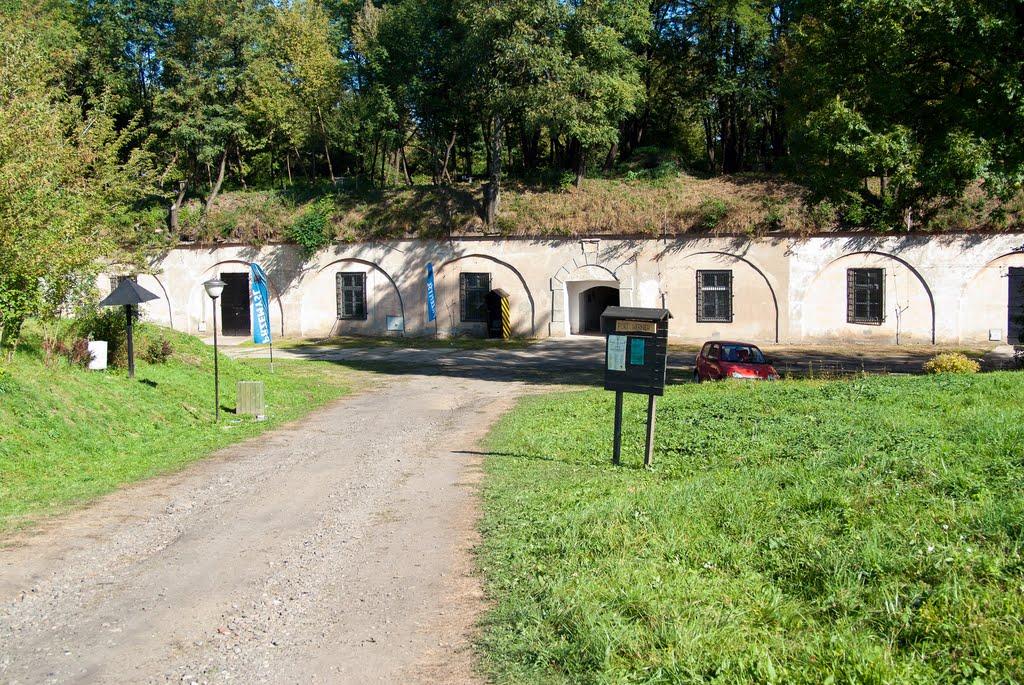 Циків з panoramio.com - Цыков
