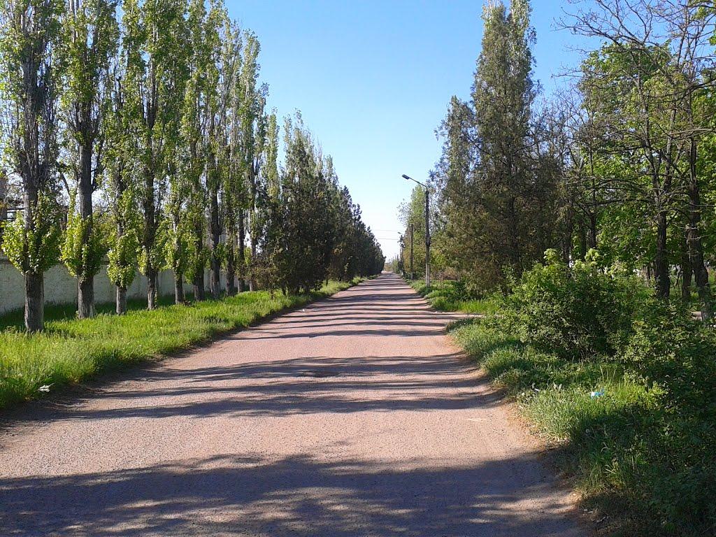 Первомайське з panoramio.com - Первомайское
