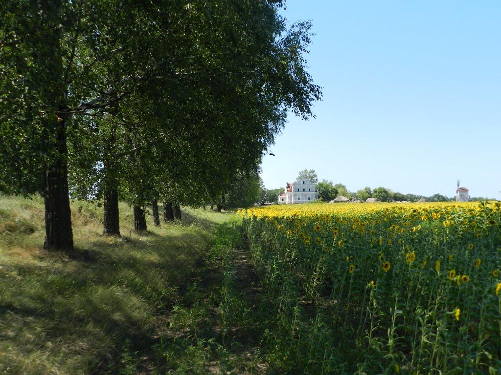 Вереміївка з panoramio.com - Веремиевка