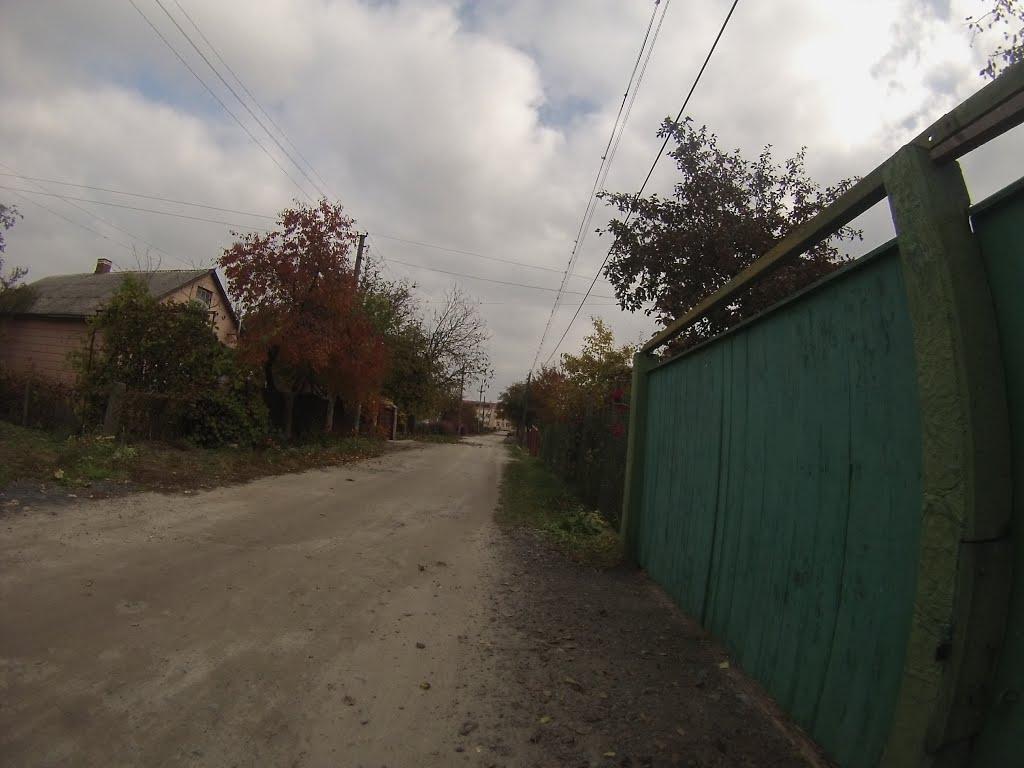 Новоград-Волинський з panoramio.com (ч.3) - Новоград-Волинський