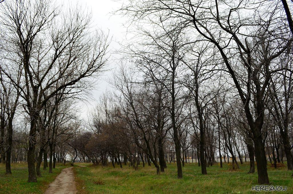 Авдіївка з panoramio.com (ч.2) - Avdiivka