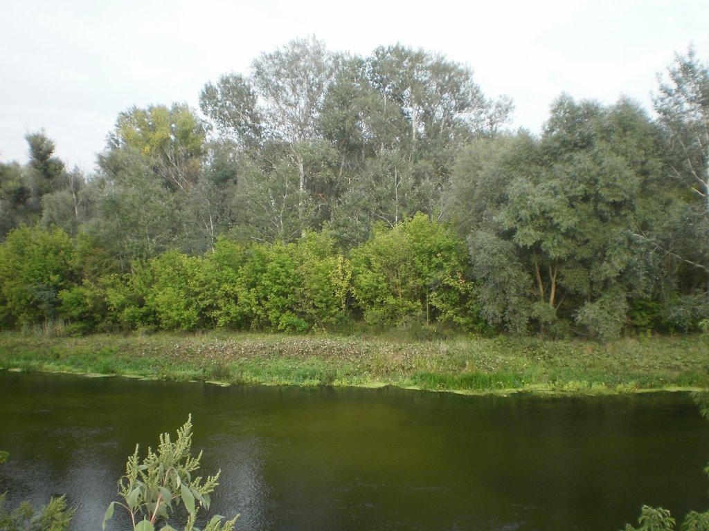 Завгороднє з panoramio.com - Завгороднее