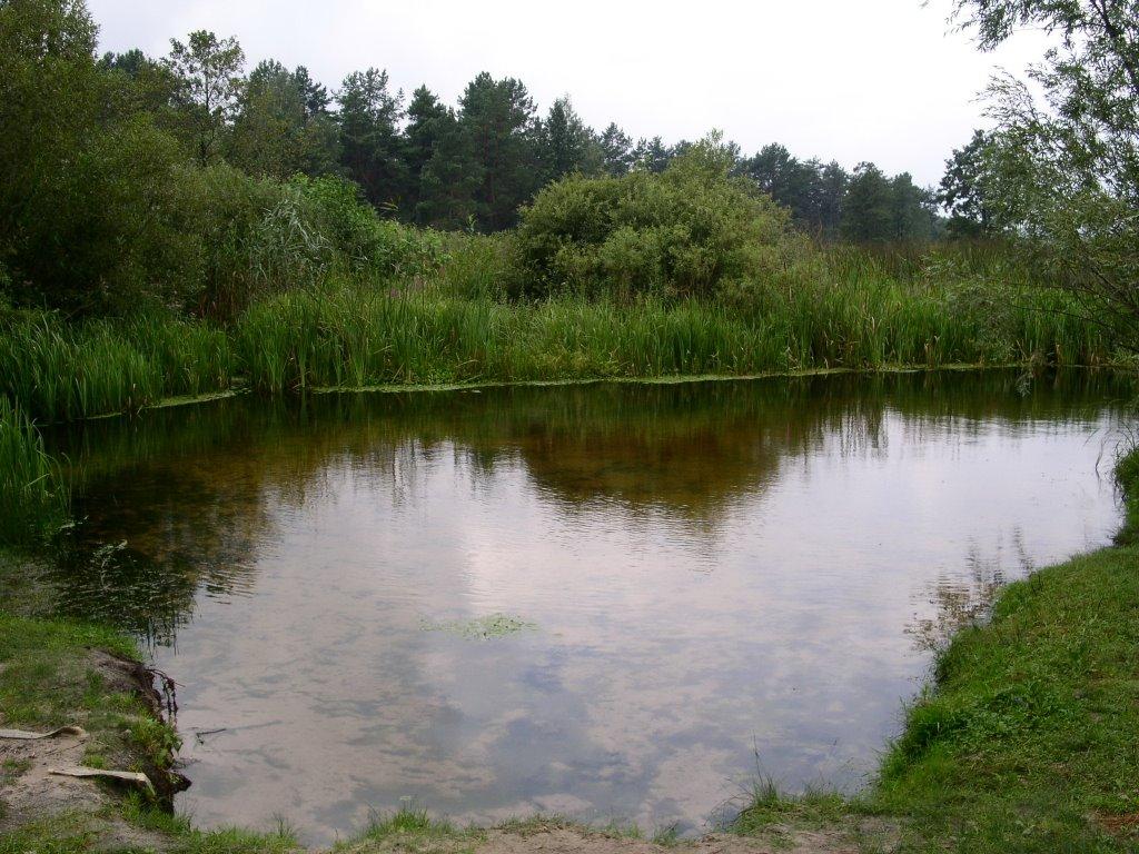 Постав-Мука з panoramio.com - Постав-Мука