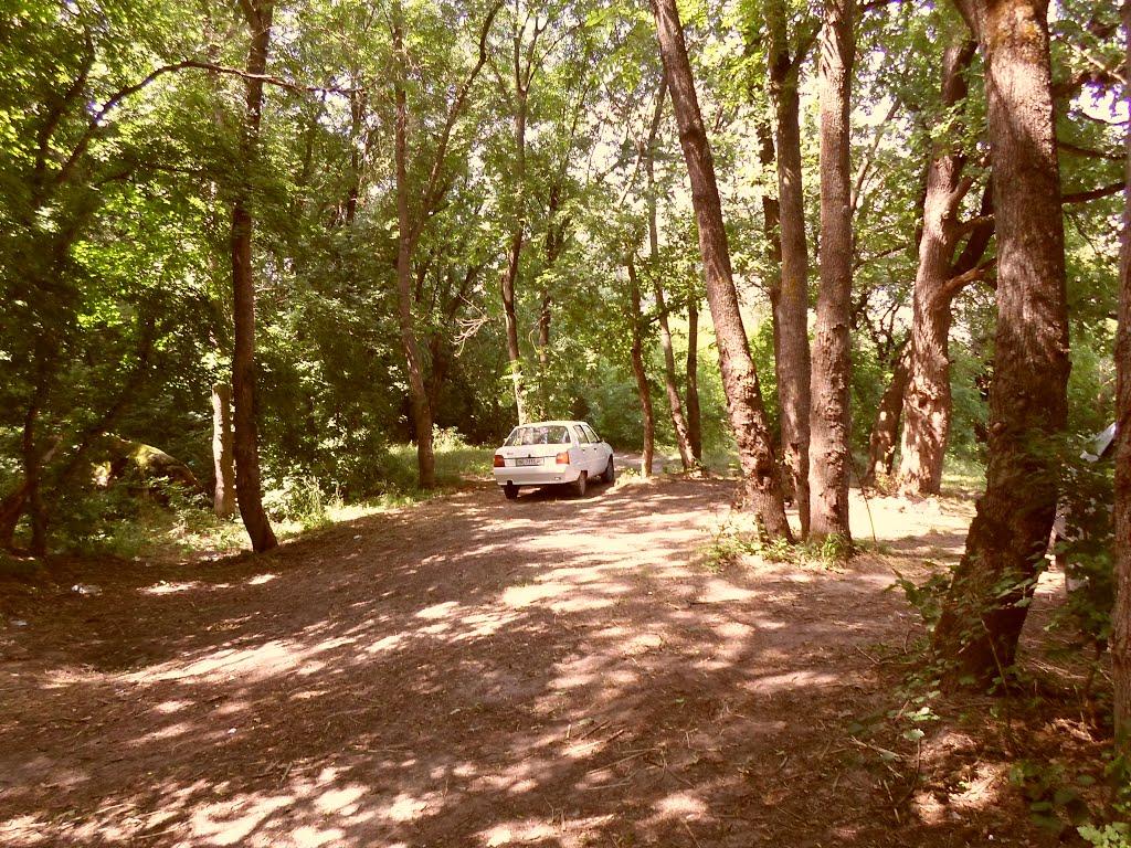 Куріпчине з panoramio.com - Куріпчине