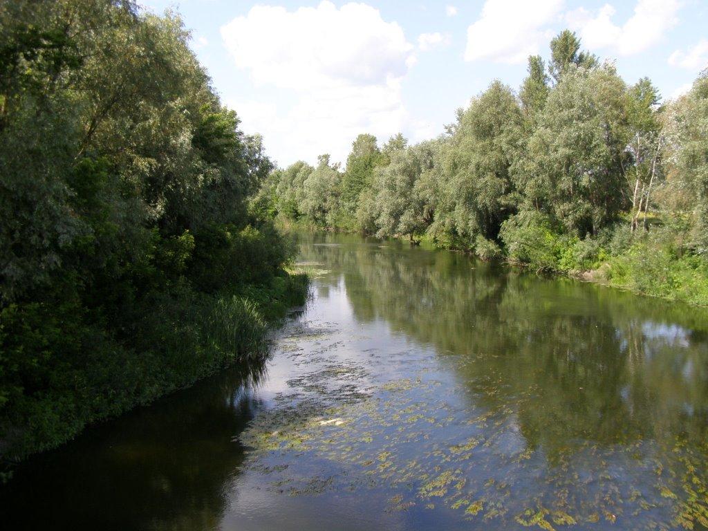 Великі Сорочинці з panoramio.com - Великие Сорочинцы