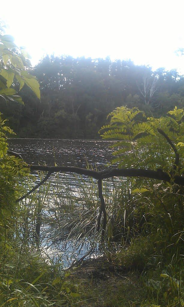 Романків з panoramio.com - Романків