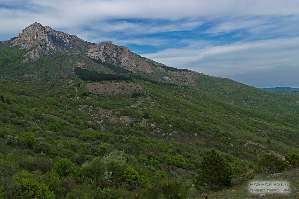 Рибаче з panoramio.com (ч.2) - Рибаче