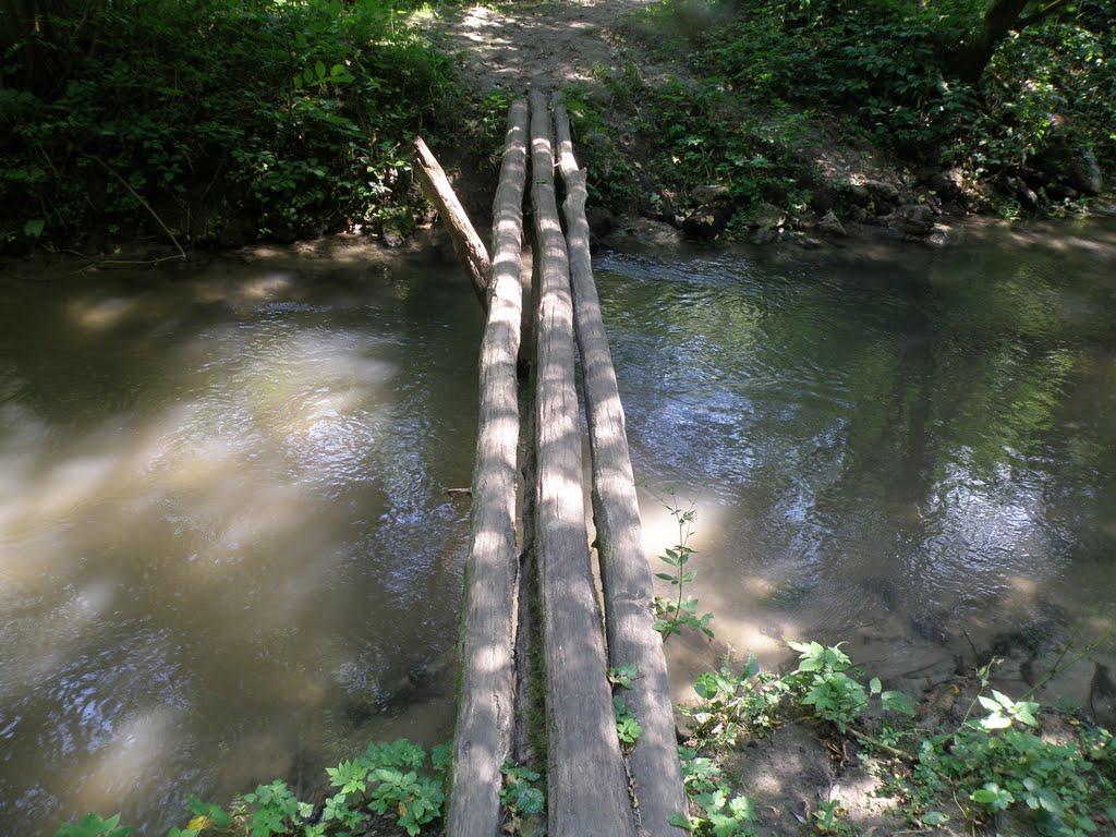 Миролюбівка з panoramio.com - Миролюбівка