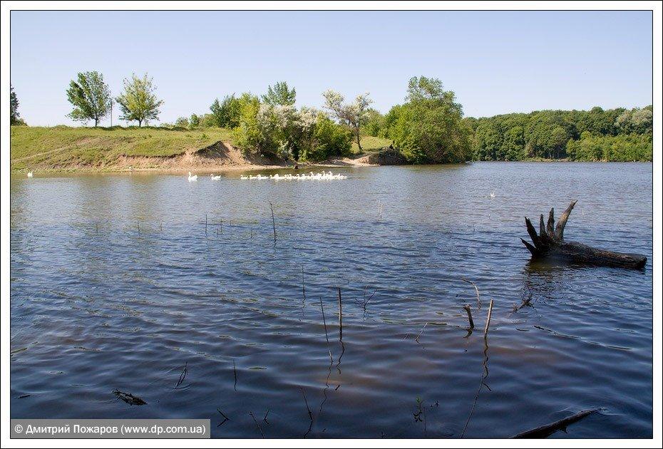 Бабаки з panoramio.com - Бабаки