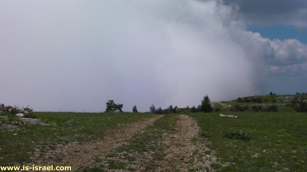 Совєтське з panoramio.com (ч.2) - Советское