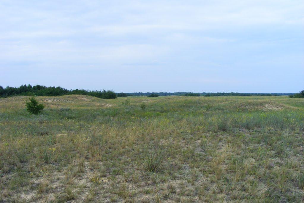 Забарине з panoramio.com - Забарино