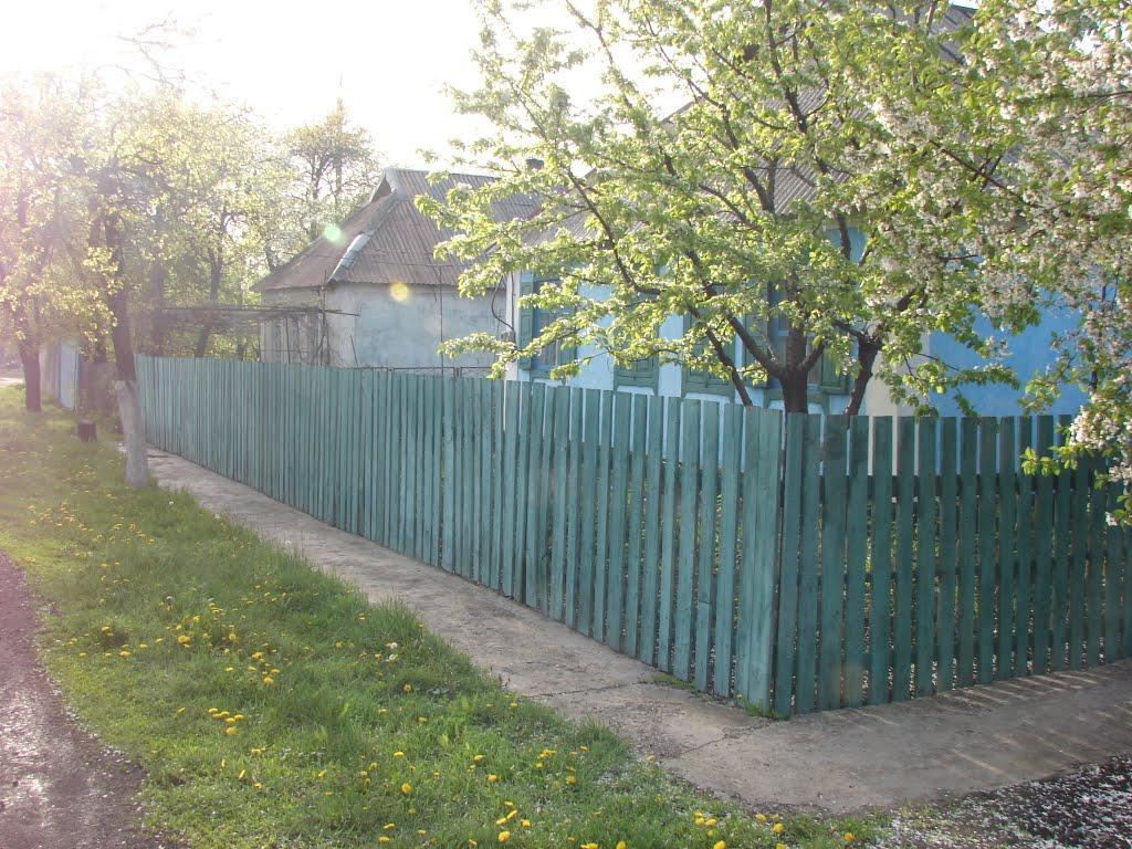 Добропілля з panoramio.com - Доброполье
