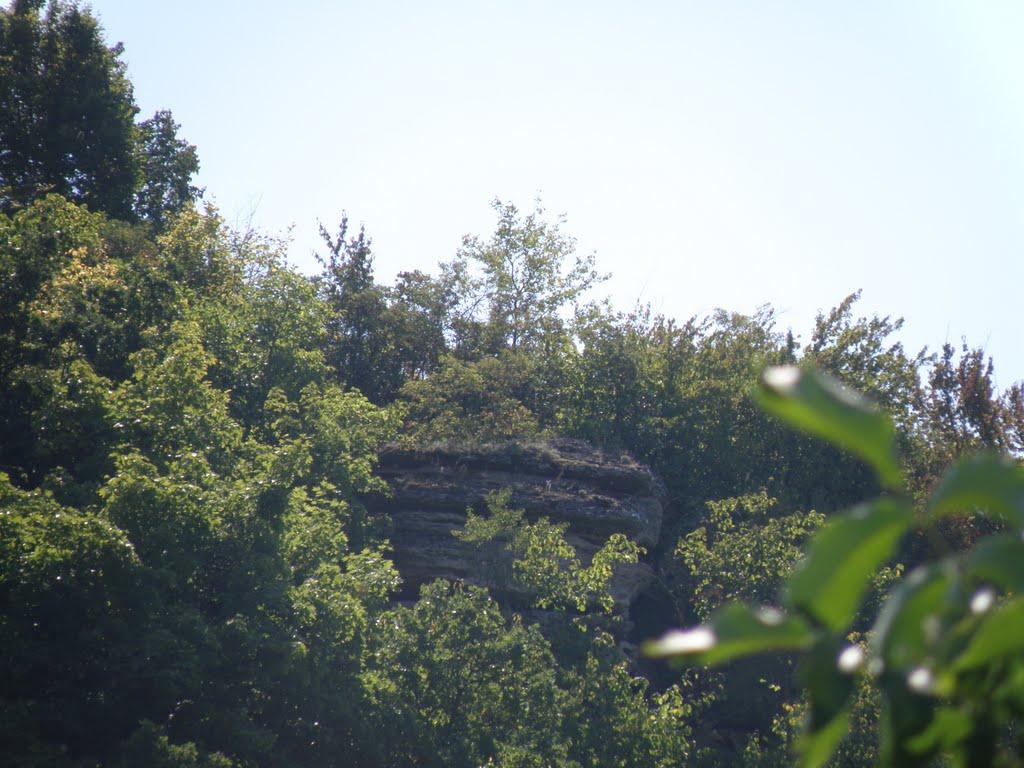 Дмитрашківка з panoramio.com - Дмитрашківка