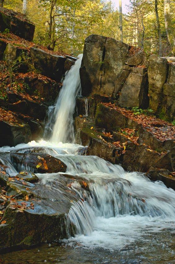Лумшори з panoramio.com - Лумшори