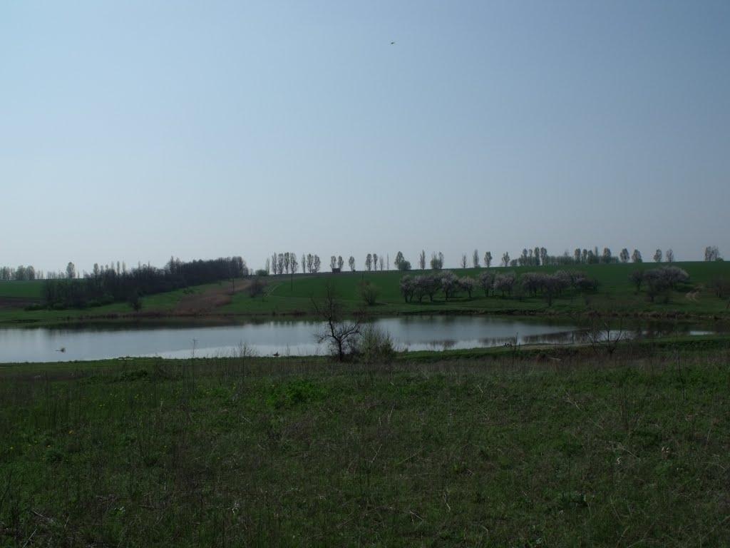 Грушеве з panoramio.com