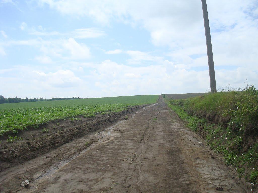 Грузевиця з panoramio.com - Грузевиця