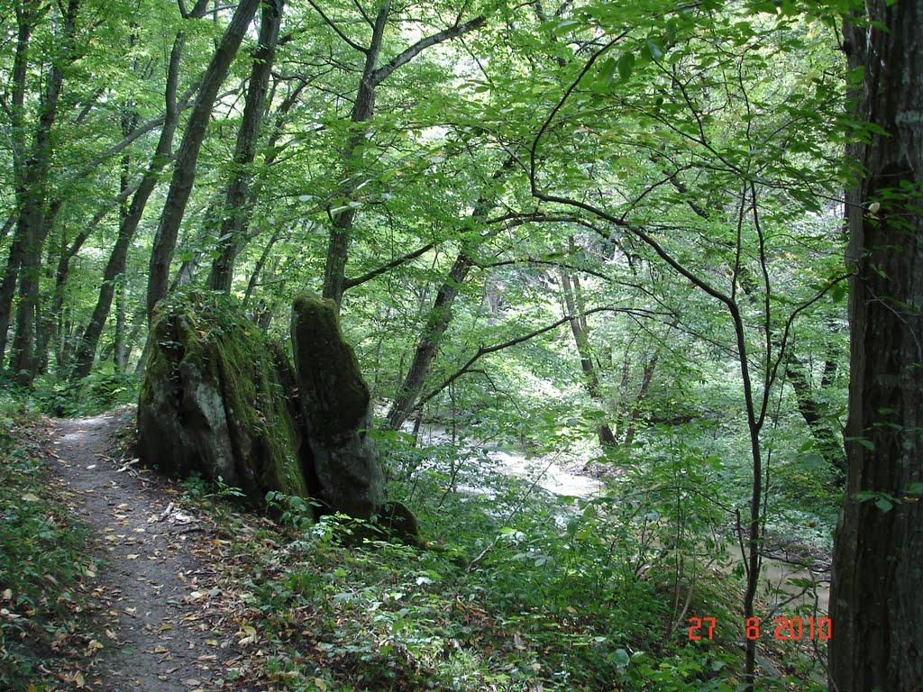 Слобода-Бушанська з panoramio.com - Слобода-Бушанська