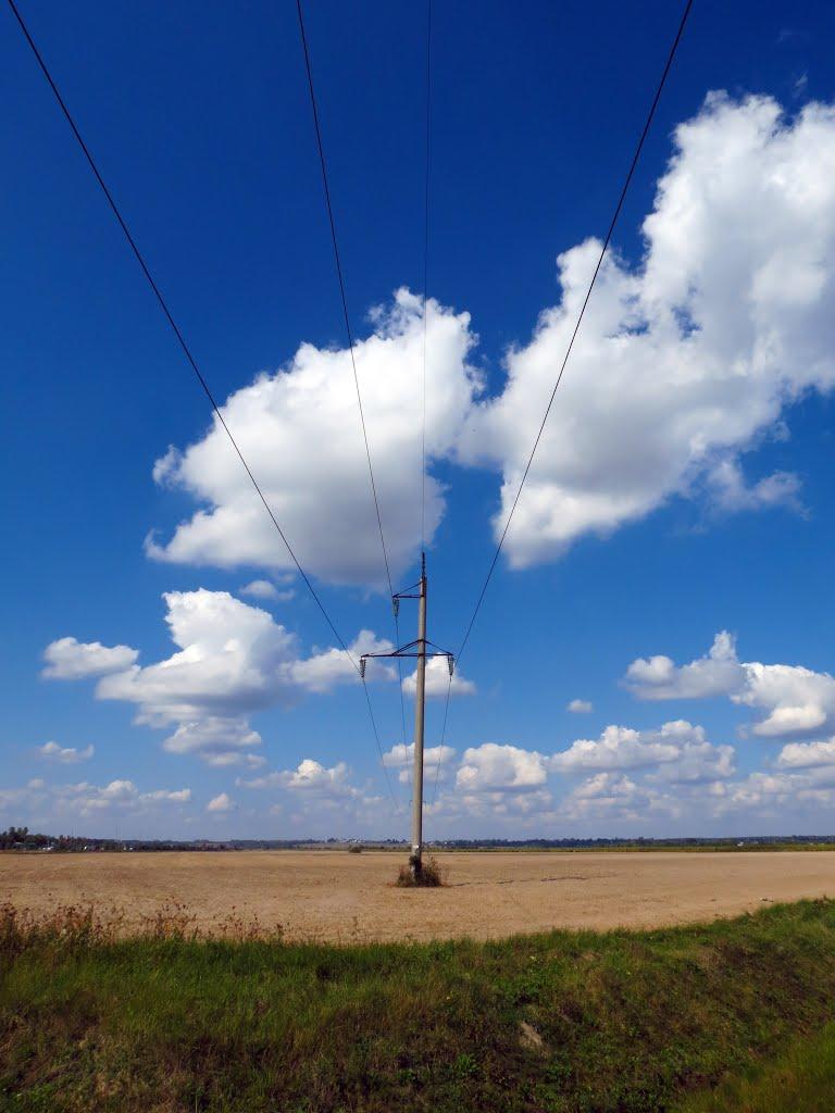 Шепарівці з panoramio.com - Sheparivtsi