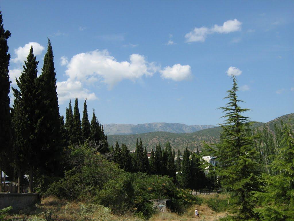 Малоріченське з panoramio.com - Malorichenske