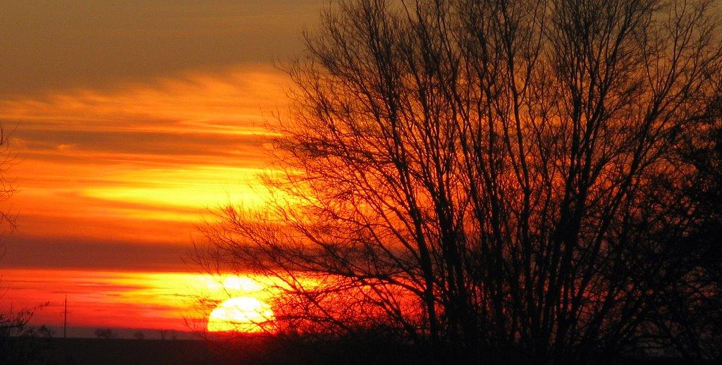Шкільне з panoramio.com - Школьное
