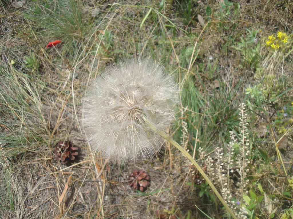 Рудківці з panoramio.com - Рудківці
