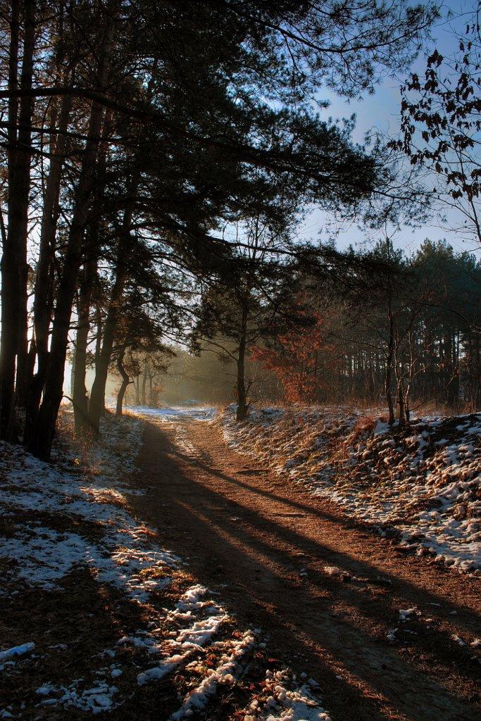 Брюховичі з panoramio.com - Брюховичи