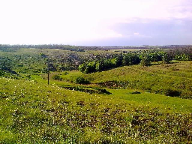 Новосолдатське з panoramio.com - Новосолдатское