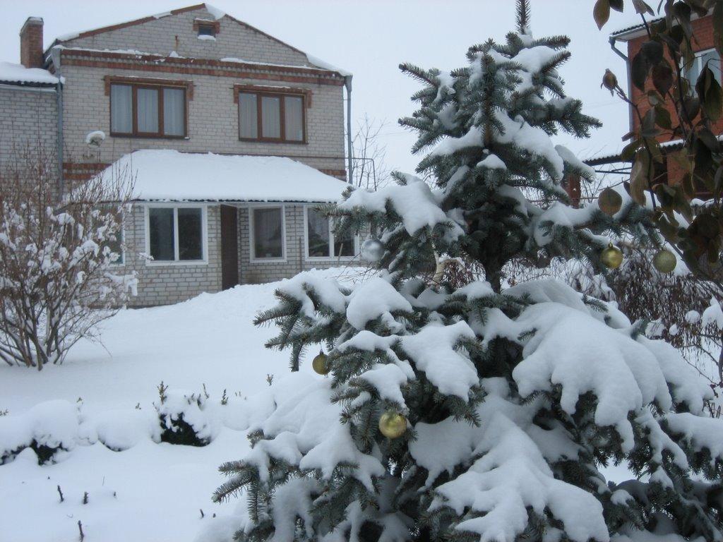 Старі Кодаки з panoramio.com (ч.2) - Старые Кодаки