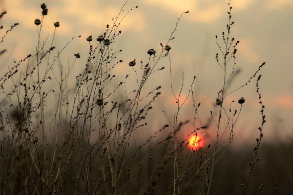 Баловне з panoramio.com - Баловне