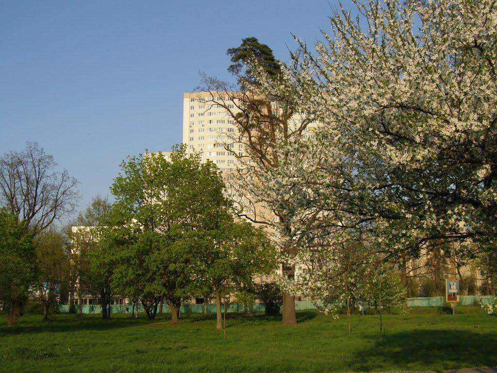 Петропавлівська Борщагівк з panoramio.com - Петропавловская Борщаговк