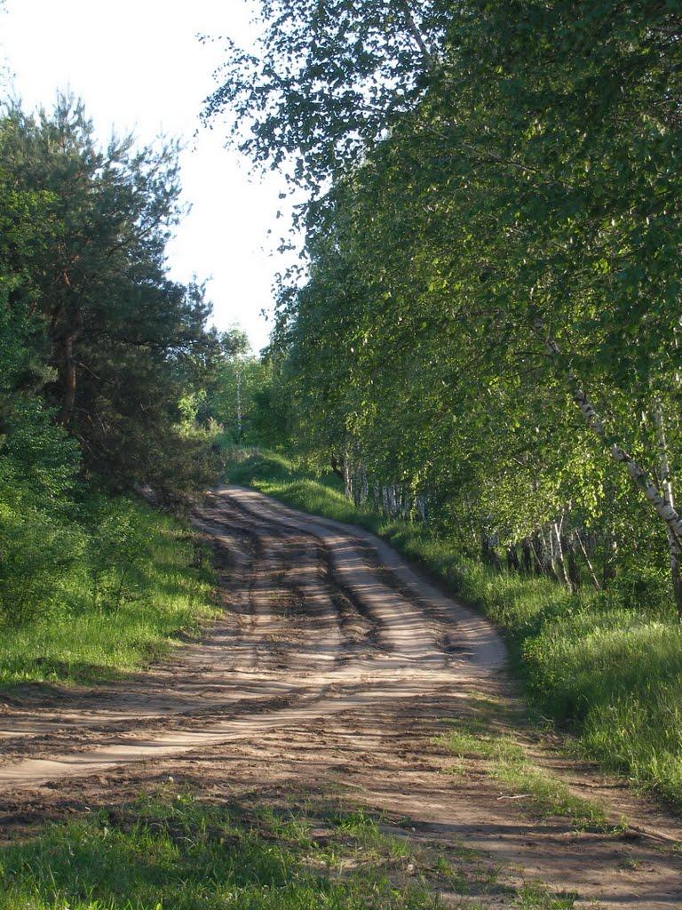 Кутузівка з panoramio.com - Кутузівка