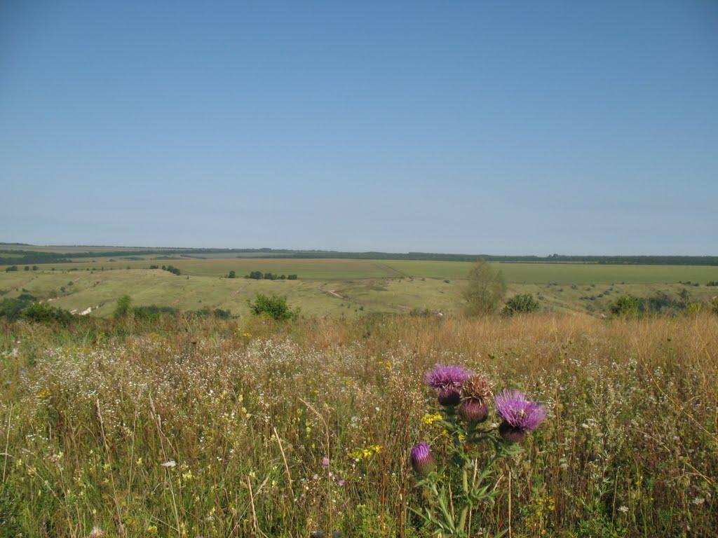 Верхня Слобідка з panoramio.com - Верхня Слобідка