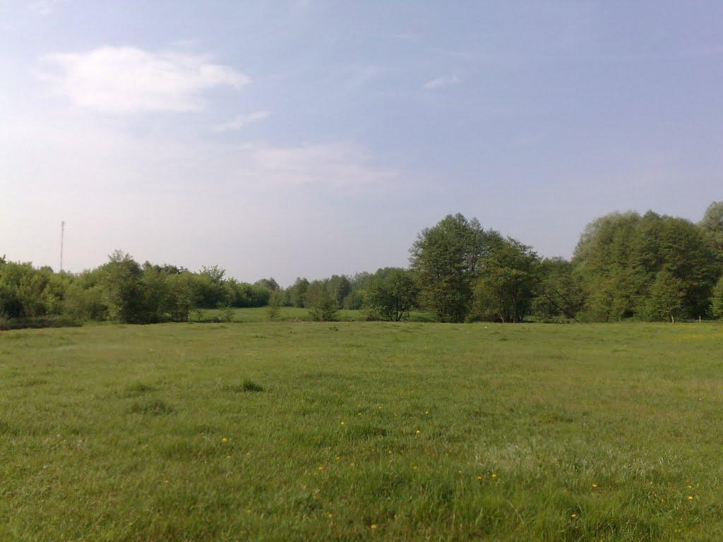 Маслівка з panoramio.com - Маслівка