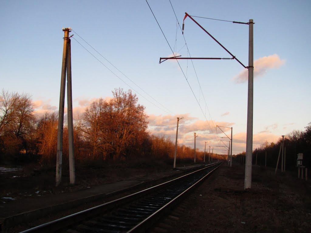 Кошляки з panoramio.com - Кошляки