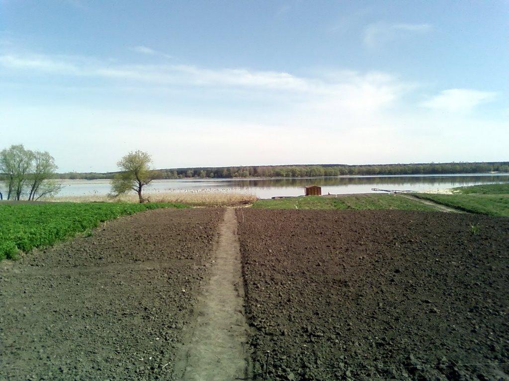 Рубіжне з panoramio.com - Рубіжне