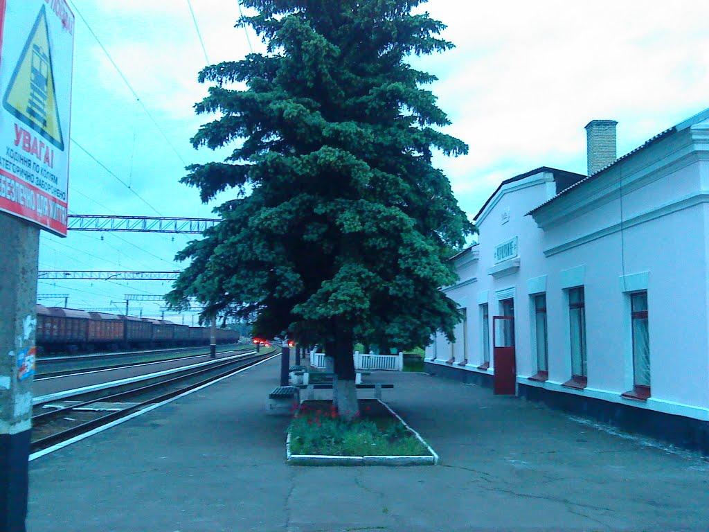 Чорнухине з panoramio.com - Чорнухине