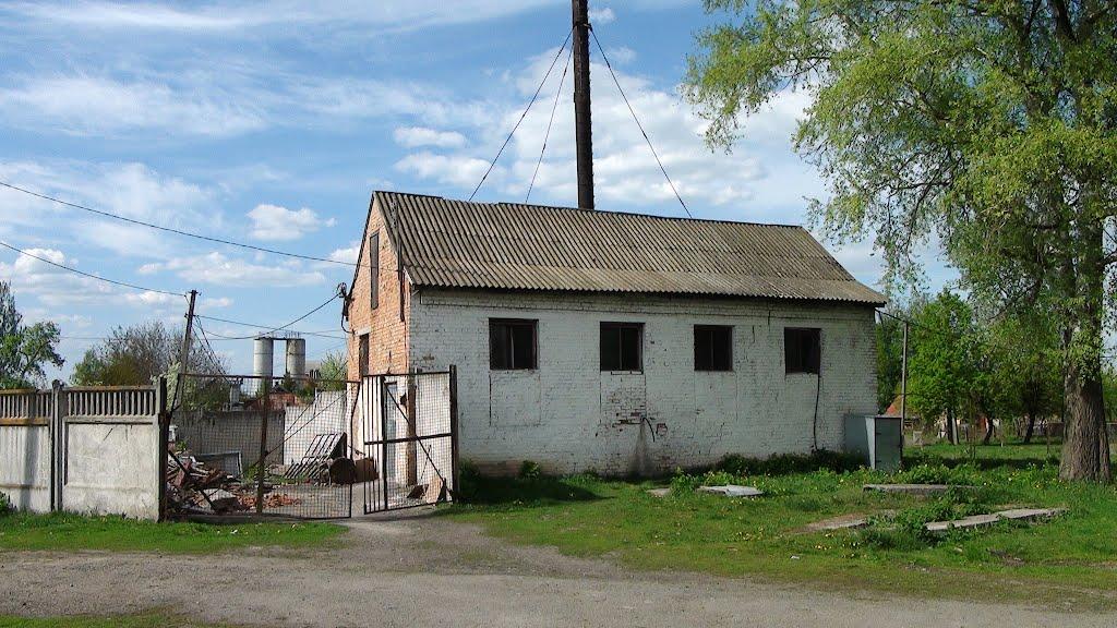 Липовець з panoramio.com - Липовець