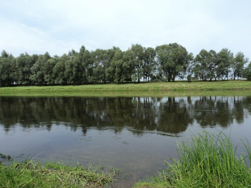 Лиса Гора з panoramio.com - Лиса Гора