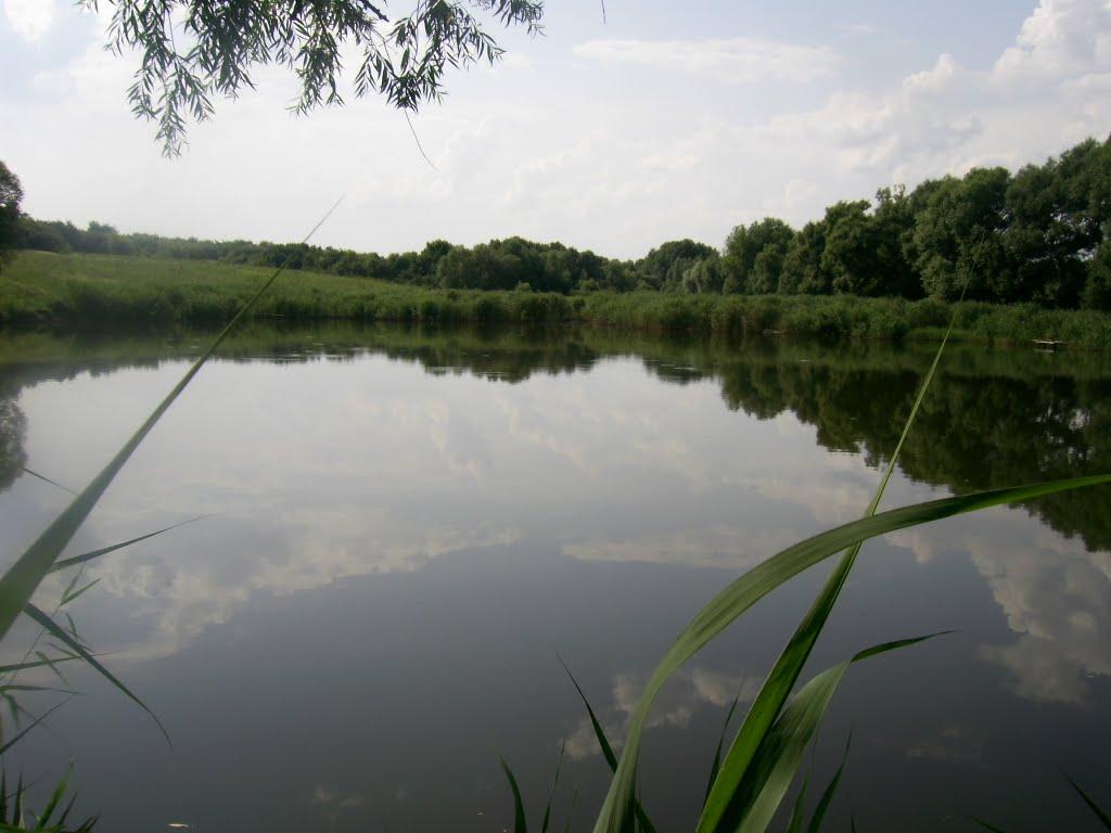 Шляхове з panoramio.com - Шляхове