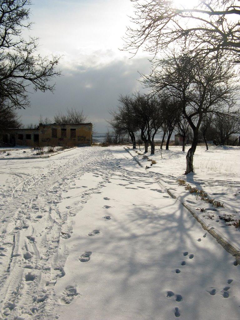 Шкільне з panoramio.com - Школьное
