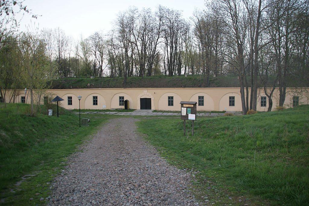 Циків з panoramio.com - Цыков