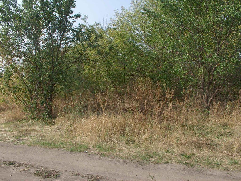 Кружилівка з panoramio.com - Кружиловка